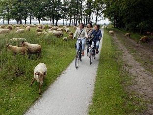 fiets4daagsedrenthe